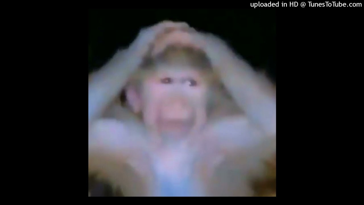 monkey type beat (prod. shimi)