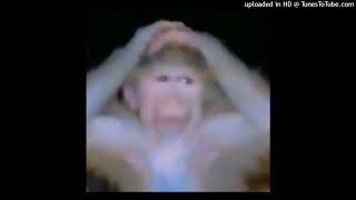 Monkey Type Beat prod Shimi