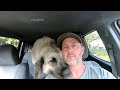 We have a new Livestock Guardian Dog!!!