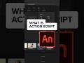 What is ACTION SCRIPT? 🧐❓ #actionscript #interactiveanimation #howtomakegame