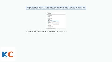 How to Fix Laptop Keeps Right-Clicking on Its Own – Touchpad, Mouse & Driver
