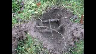 10 Minute Mole - Bridgnorth, Shropshire