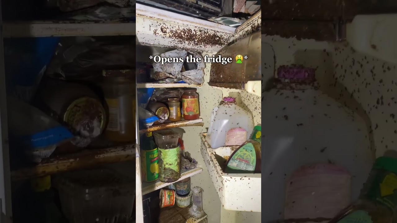 NEVER open the fridge at an abandoned building…
