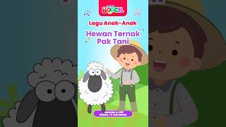 Hewan Ternak Pak Tani | Lagu Anak Anak PAUD Indonesia Balita dan Anak Prasekolah