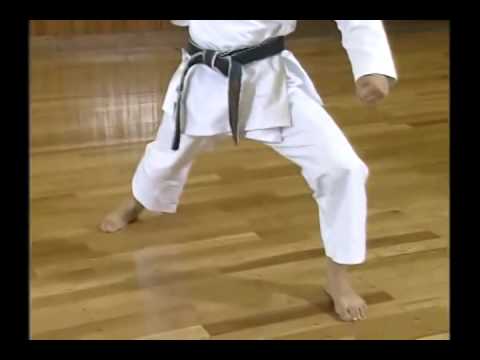 Shotokan Karate Complete Guide by Hirokazu Kanazawa Vol 1