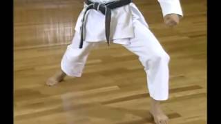 Download Lagu Shotokan Karate Complete Guide by Hirokazu Kanazawa Vol 1 MP3