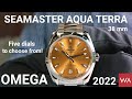 OMEGA Seamaster Aqua Terra 150M 38mm. Five dials to choose from.