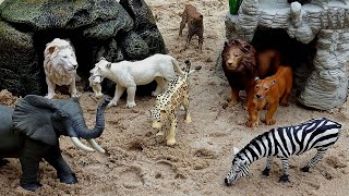 Safari Animal Figurines and Fun Facts