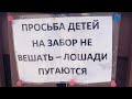 ЛЮТЫЕ ОБЪЯВЛЕНИЯ: ДЕТЕЙ НА ЗАБОР НЕ ВЕШАТЬ - ЛОШАДИ ПУГАЮТСЯ :DD