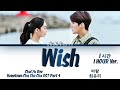 1시간 1HOUR Choi Yu Ree 최유리 Wish 바람 Hometown Cha Cha Cha 갯마을 차차차 OST Part 4 Lyrics 가사
