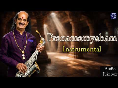 Pranamamyaham | Kadri Gopalnath | Nadham Carnatic Classical | Instrumental Music