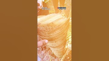 Xác minh clip tôn bay chém đứt thân cây dừa trong bão số 13 ở Đắk Lắk, thực hư ra sao #docvithegioi