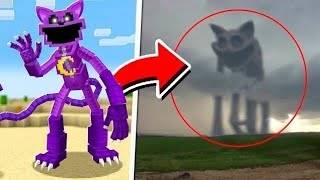 I CAUGHT the RAREST Minecraft Mobs on CAMERA!