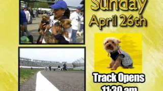 Mutt Strut at the Indianapolis Motor Speedway - Commercial