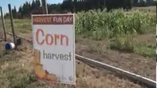 78th Street Heritage Farm Events