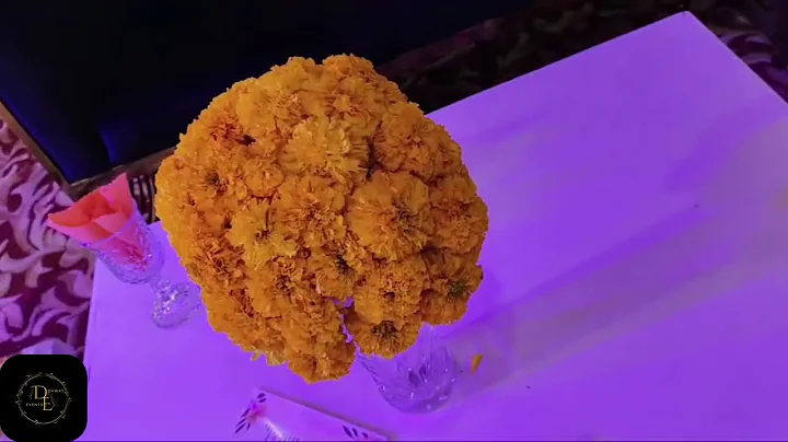 Plan the Perfect Wedding | Dawat Events Expert Tips 💍✨