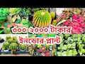 ৩০০ - ২০০০ টাকার ইনডোর প্লান্ট। ক্যাকটাস গাছের দাম / বৃক্ষ মেলা ২০২৫