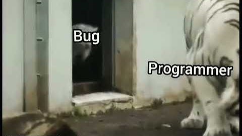 #3 Bug Vs Programmer Funny Video 😂 | Coding Memes | Programming Memes #short#funny#funnymemes