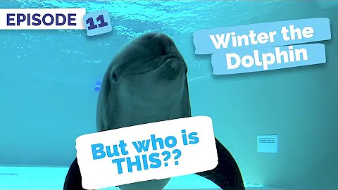 Meet Nicholas - Winter the Dolphin: Saving Winter ...