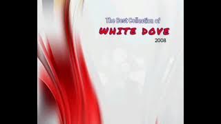 The Best Collection of White Dove