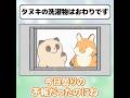 タヌキの洗濯物はおわりです #おわっタヌキ