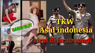 Babu Elit Tkw Viral Di Tiktok Dan Sosmed