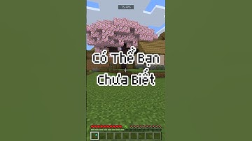 Có Thể Bạn Chưa Biết Trong Minecraft Phần 37 #minecraft #short