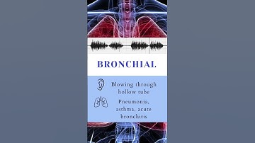 Thumbnail of Lung Auscultation Sounds