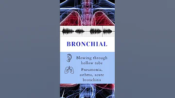 Lung Auscultation Sounds 