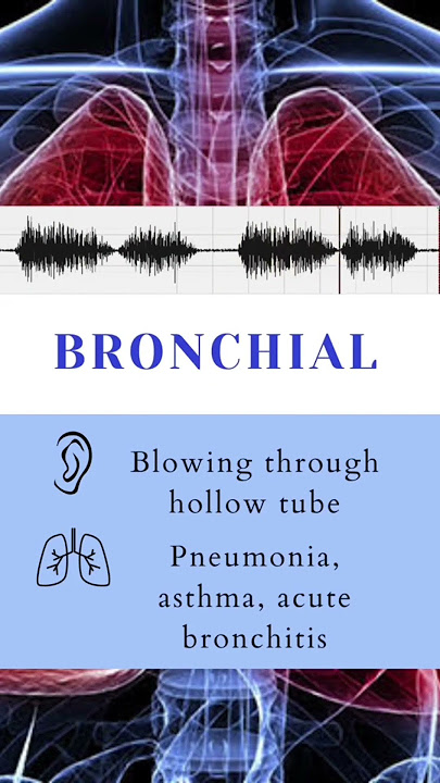Lung Auscultation Sounds