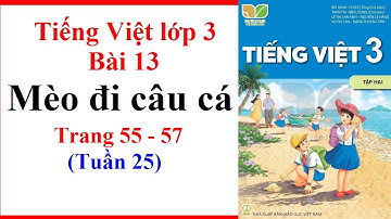 Tiếng Việt Lớp 3 Bài 13 Tuần 25 Mèo Đi Câu Cá Trang 55 57 Kết Nối Tri Thức