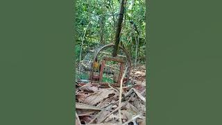 denok tino kg sungai petai pasir Puteh