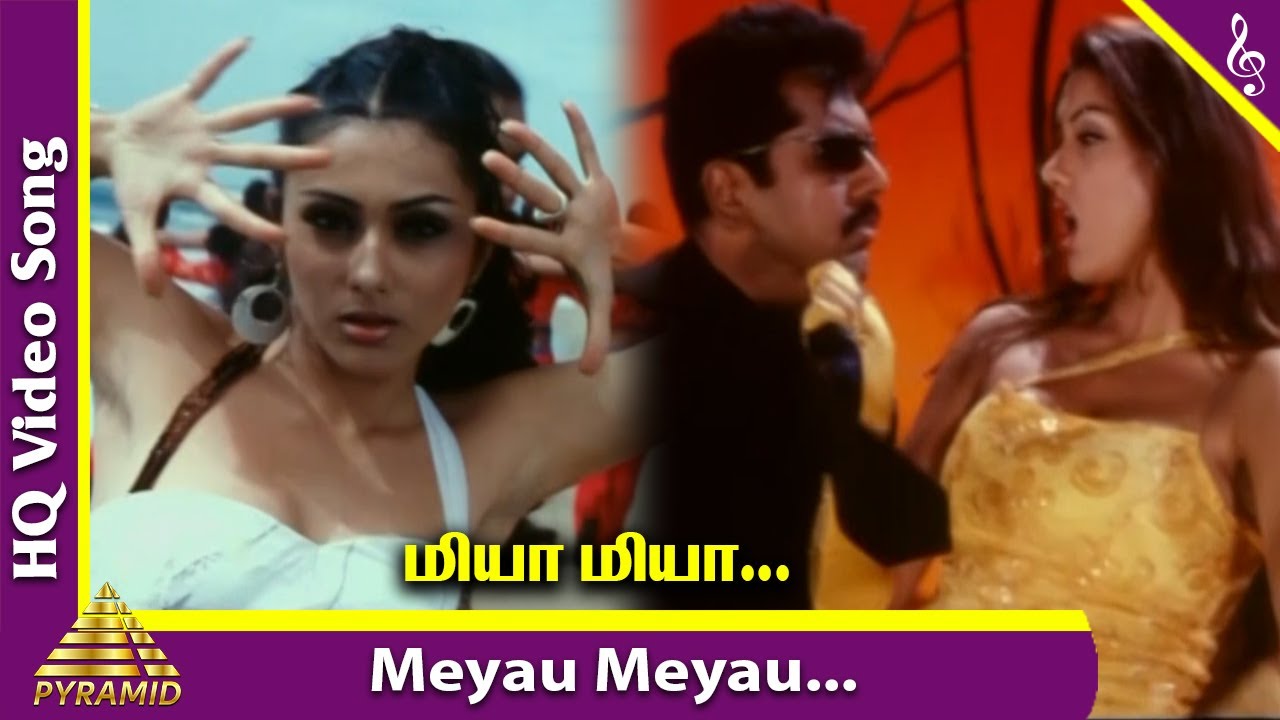 Meyau Meyau Video Song  Aai Movie Songs  Sarathkumar  Namitha  Srikanth Deva  Pyramid Music