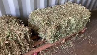 Don’t build a barn until you watch this! Our inexpensive hay and feed barn.