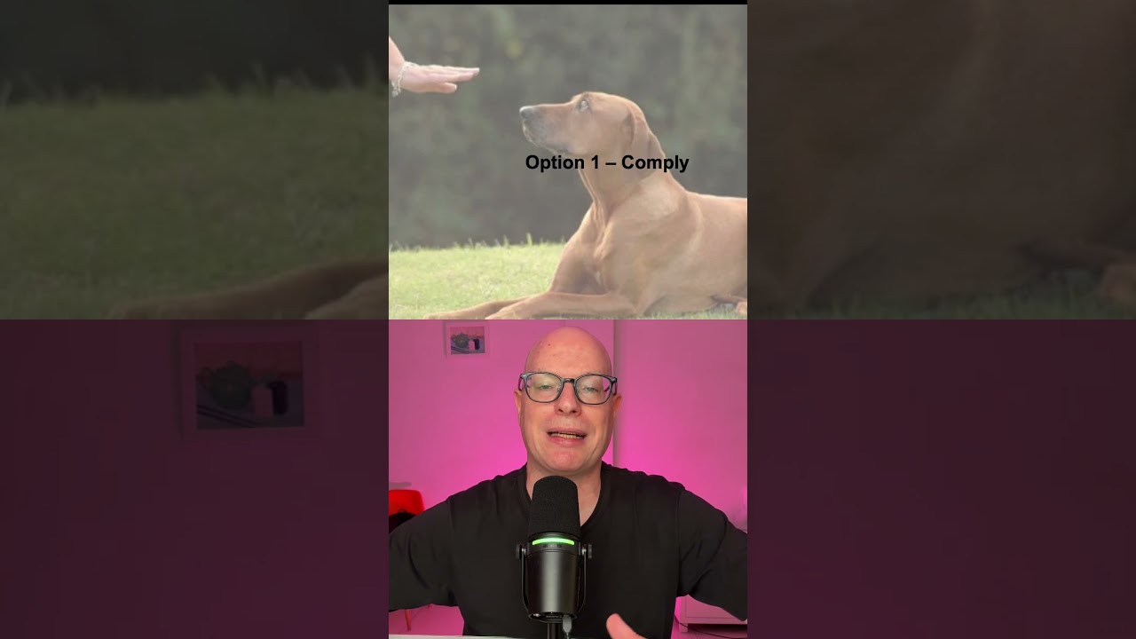 Три варианта обработки возражений при холодных звонках между компаниями.