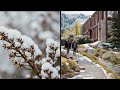 The Lodges at Mt Cardrona Station, Cardrona, Central Otago, NZ