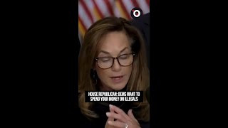 Democrats want to spend your money on illegal aliens, House Republican says
