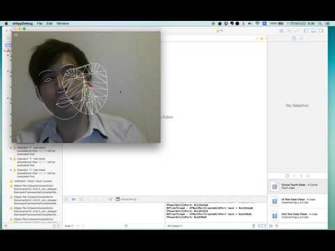 ofxFaceTracker example-threaded TEST
