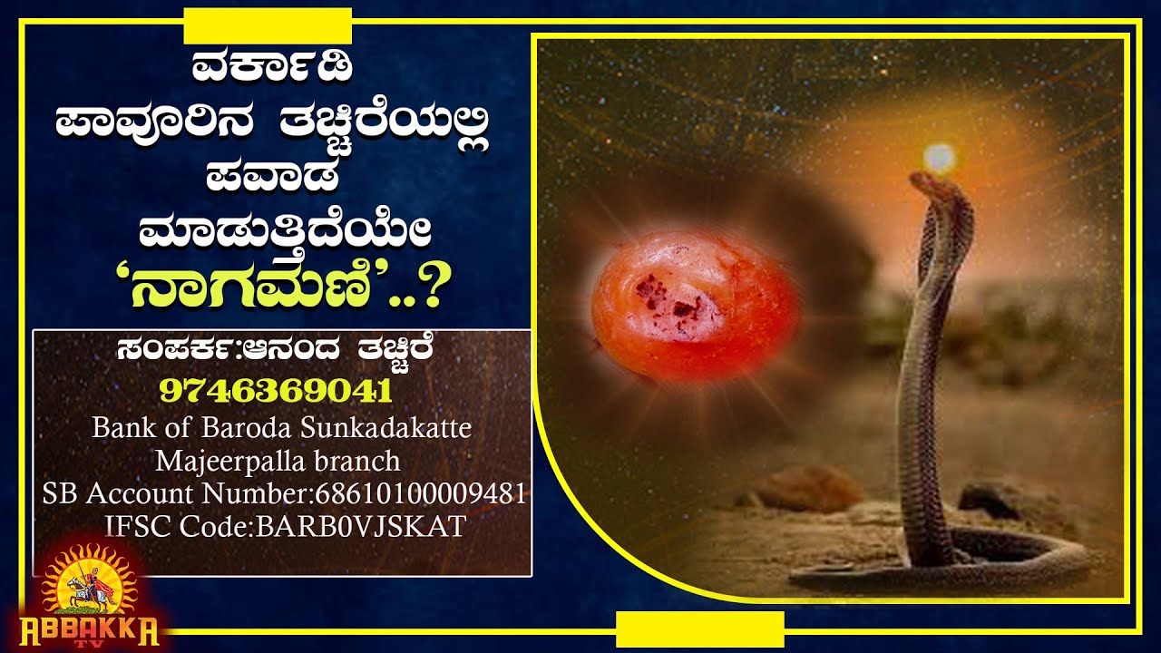 Nagamani|ವರ್ಕಾಡಿ ಪಾವೂರಿನ ತಚ್ಚಿರೆಯಲ್ಲಿ ಪವಾಡ ಮಾಡುತ್ತಿದೆಯೇ"ನಾಗಮಣಿ"?