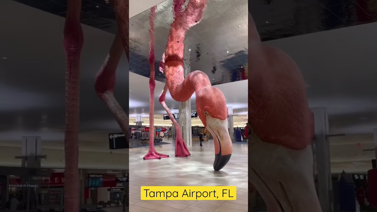 Tampa Airport, FL