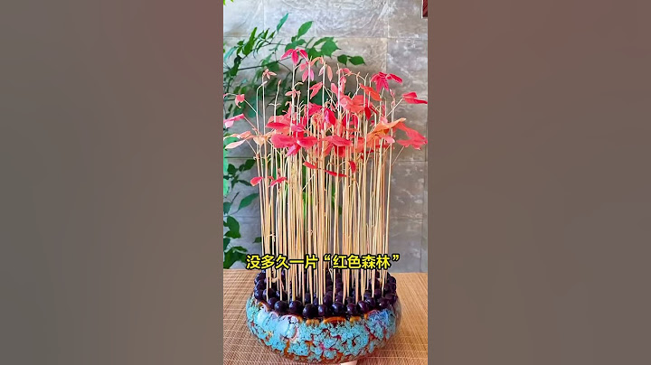 家里吃剩的这些东西不要扔