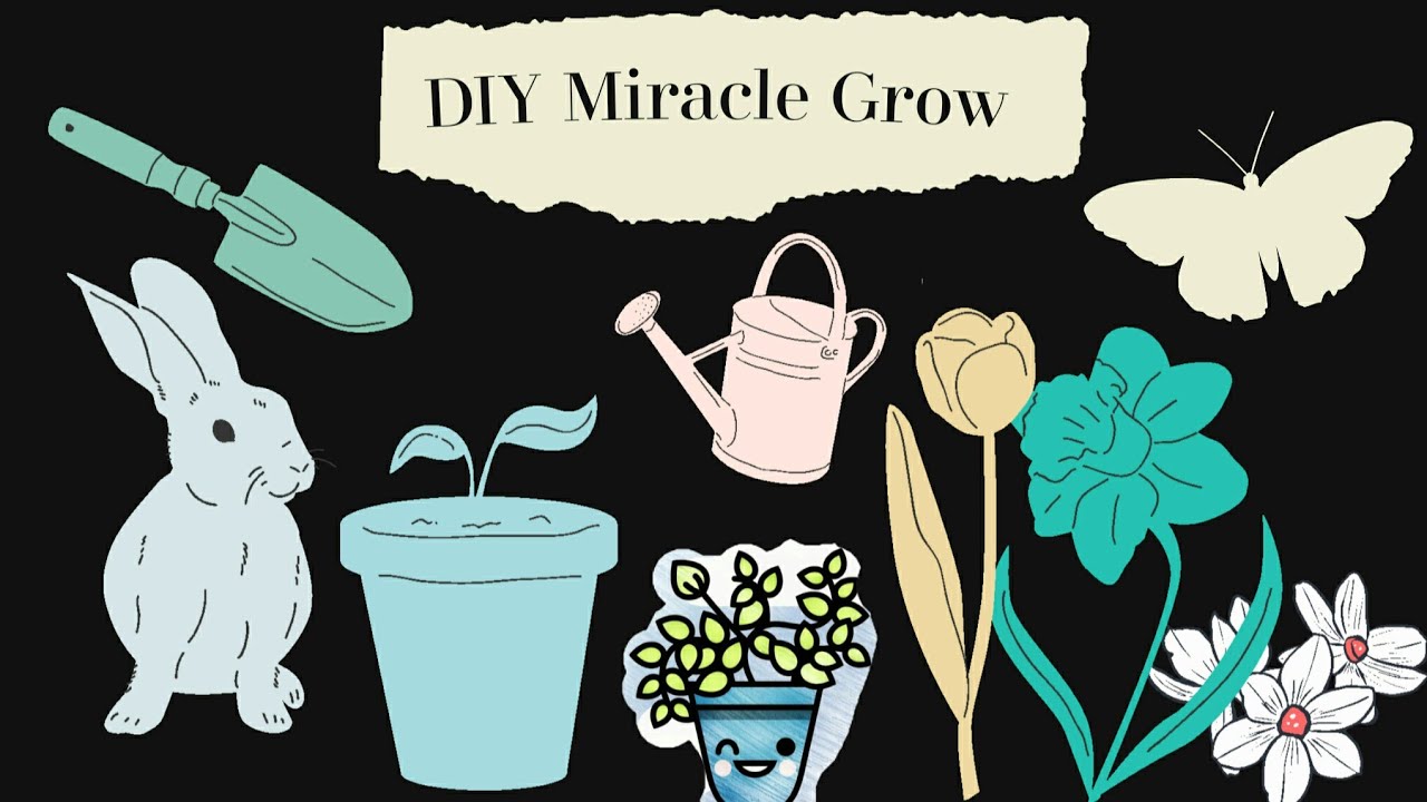 DIY Miracle Grow. Second blog YouTube