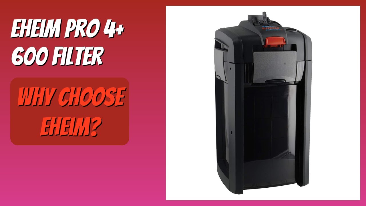 REVIEW (2026): Eheim Pro 4+ 600 Filter. Features