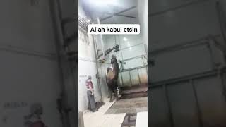 Deve Kesimi Allah Kabul Etsin Şfet Öneçıkart