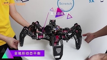 SpiderPi