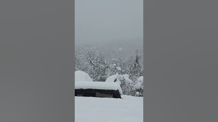 Kräftiger Schneefall in Kärnten Januar 2023
