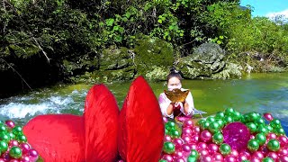 😱The giant red clam on the high mountain nurtures charming and dazzling pearls, breathtaking beauty