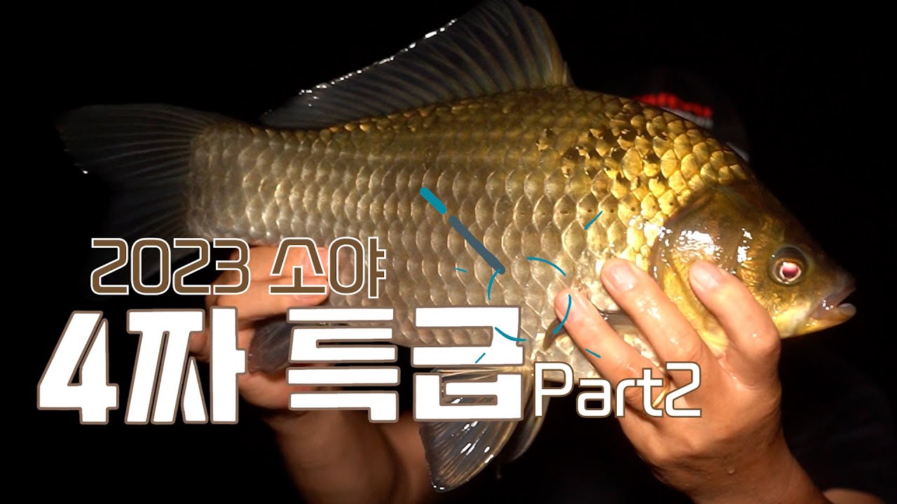 2023도 소야 4짜 붕어 모음 (파트2)