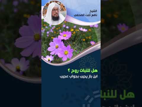 هل للنبات روح يجيب ابن باز جواب عجيب الشيخ نافع بن ثابت الصحفي