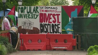 UChicago students speak out after antiwar encampment raid